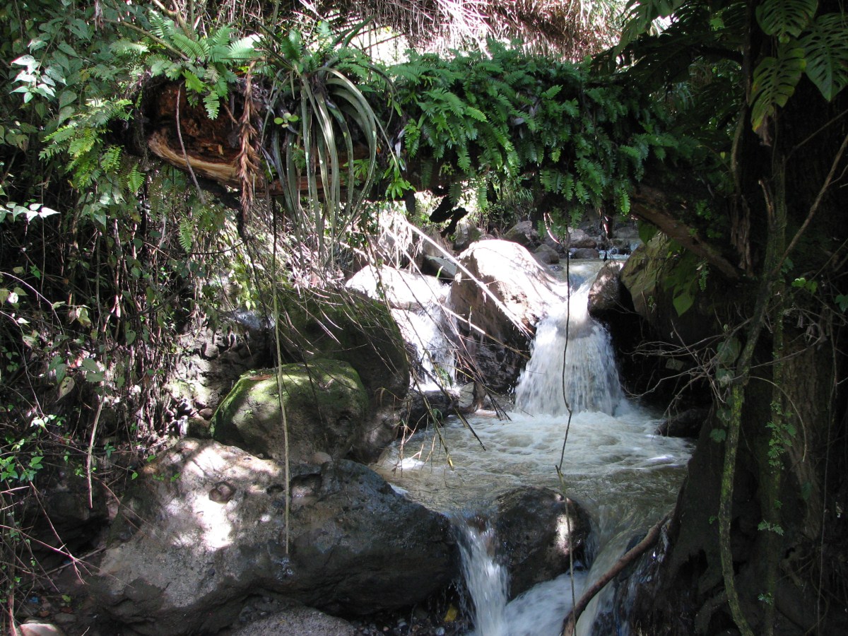slideshow image